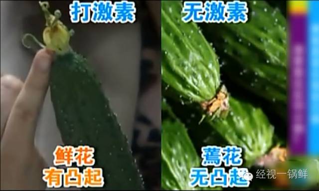 夏季蔬菜农药残留排行榜